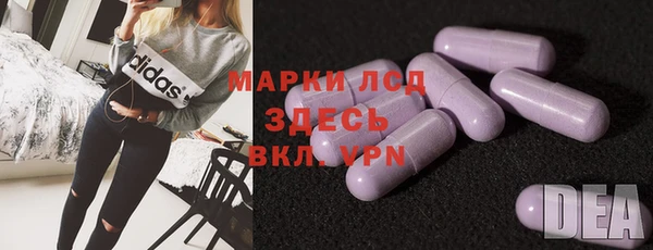 дживик Белокуриха
