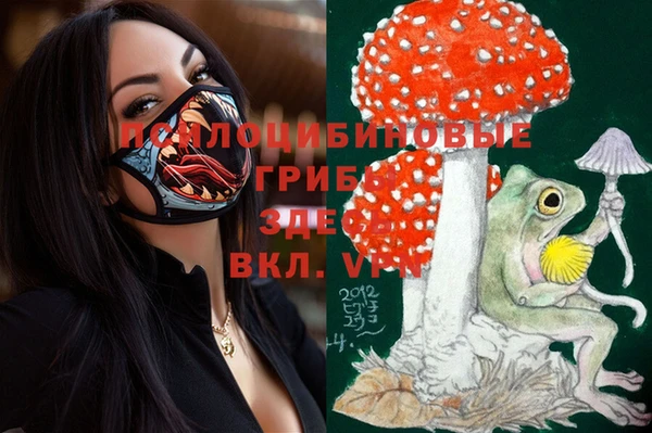 дживик Белокуриха
