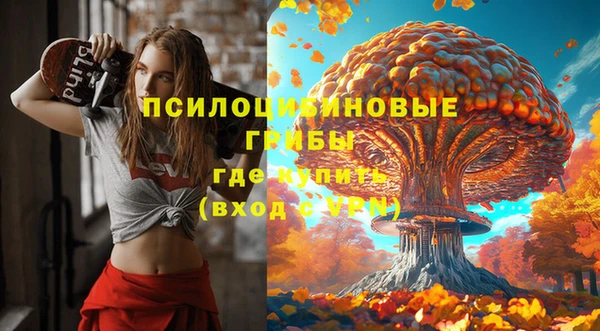 шишки Белоозёрский